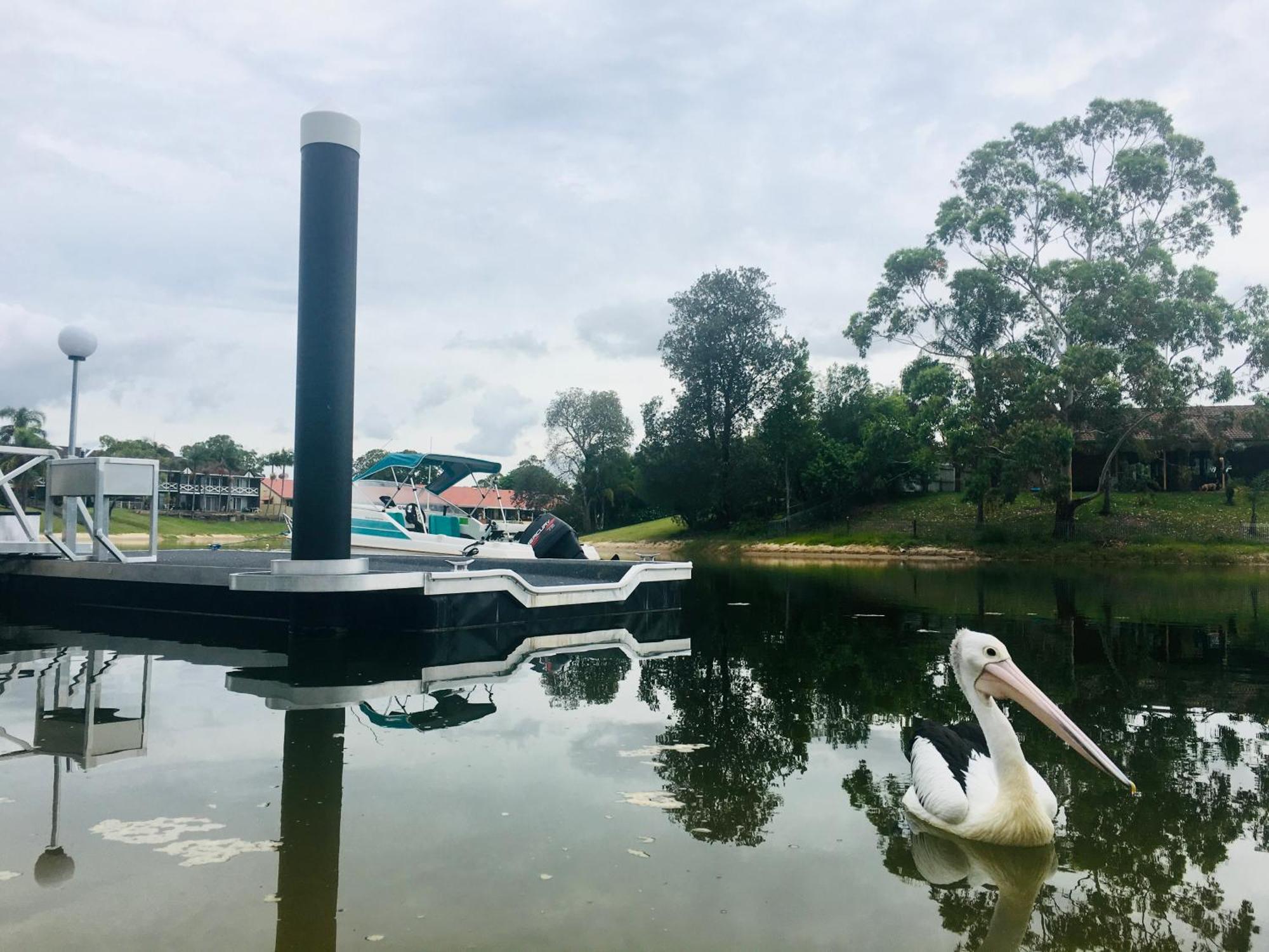 Reflections Broadbeach- Heated Pool! Complete Waterfront Entertainer With Huge Deck, Pool Table And Pontoon Holiday home Gold Coast