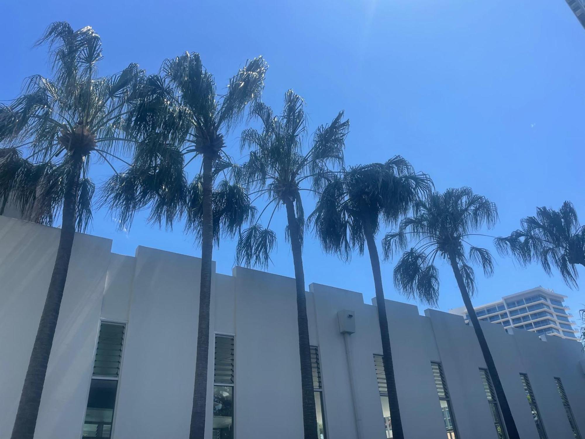 19 Carlton * Gold Coast