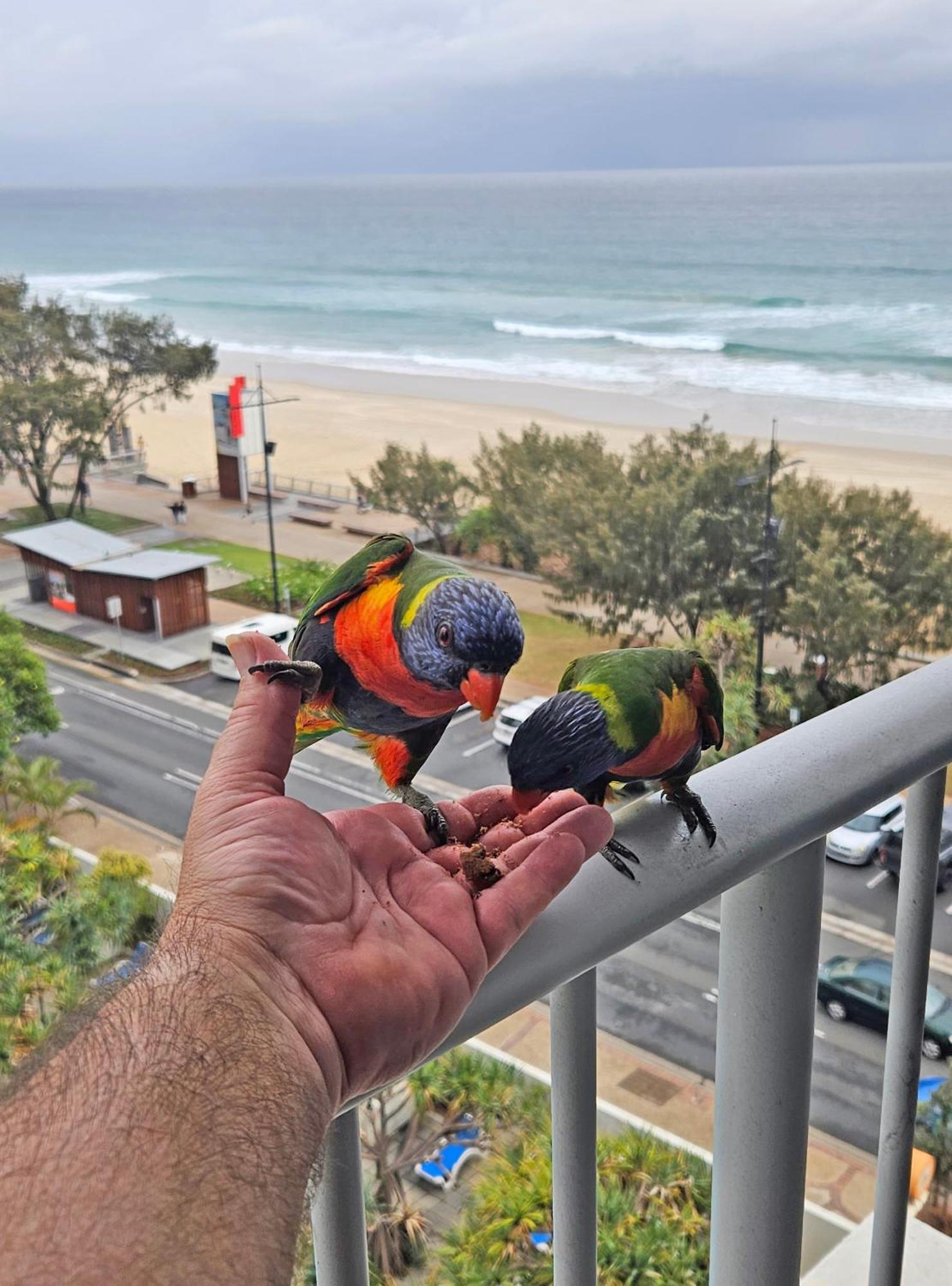 Beachfront Apartamento *