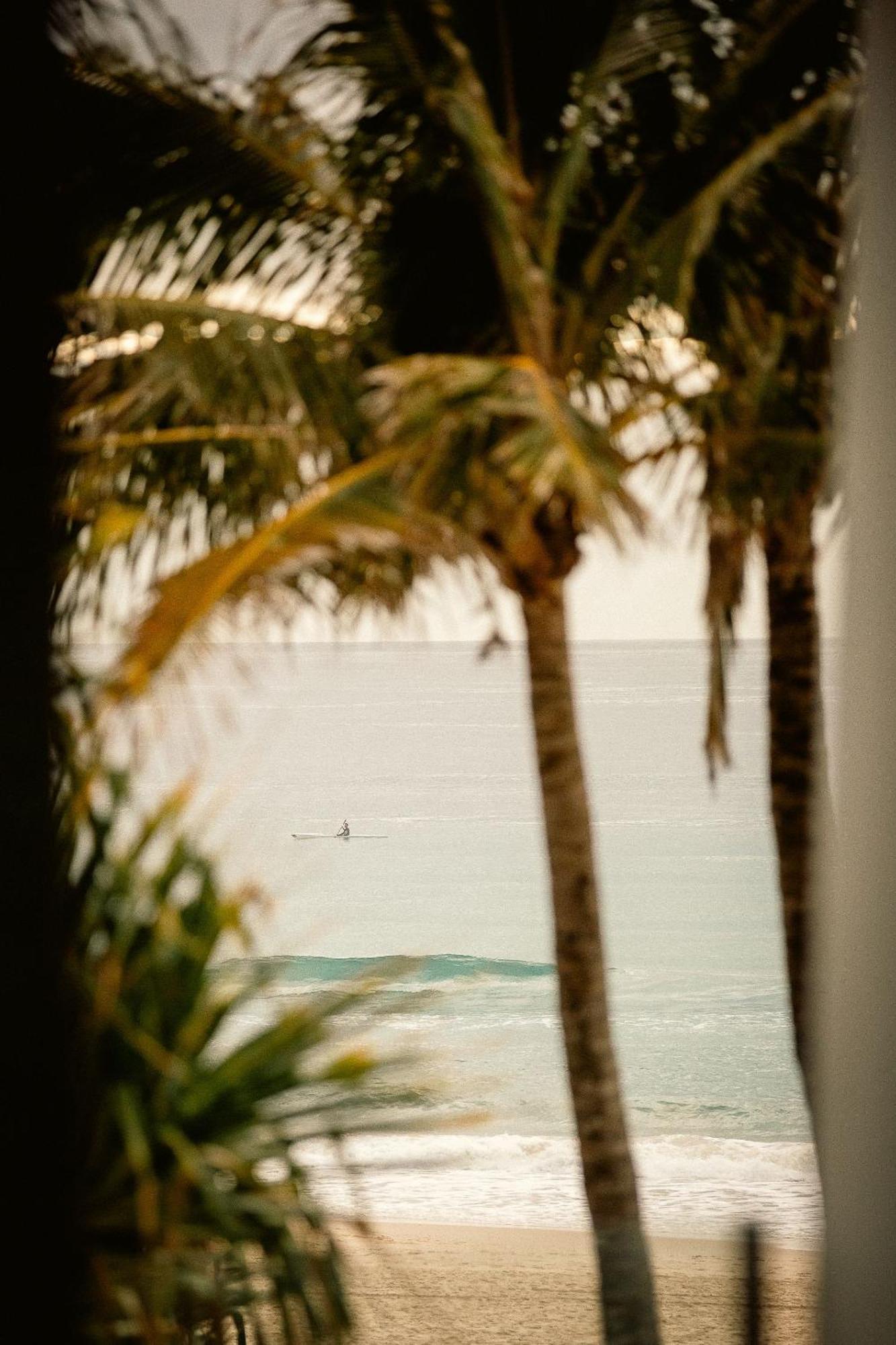 Waves 203 On Currumbin Apartment *