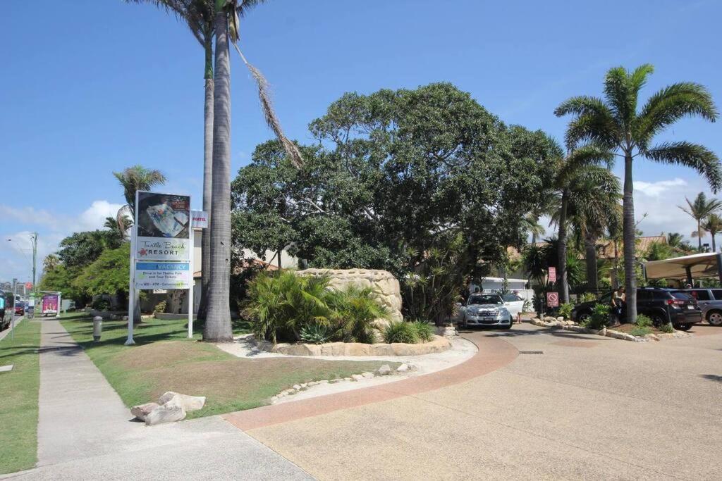 Turtle 250 Gold Coast