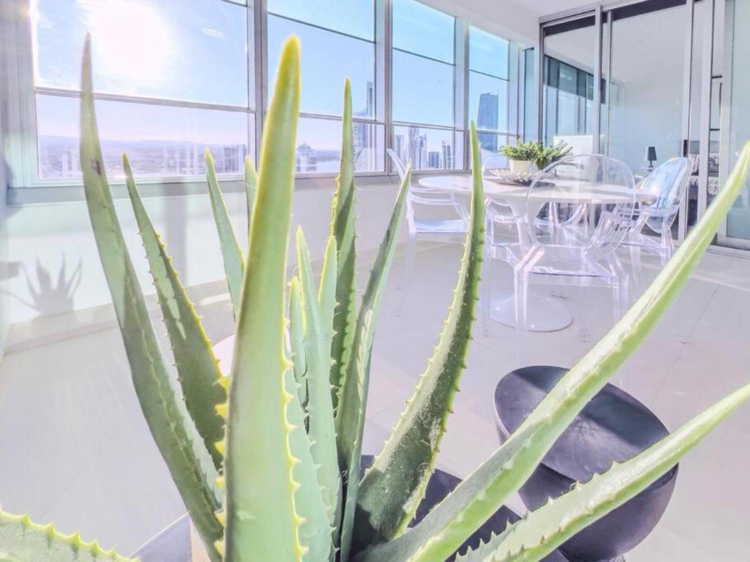 Q1 Skyview Retreat - Level 31 Spectacular Views Apartment Gold Coast
