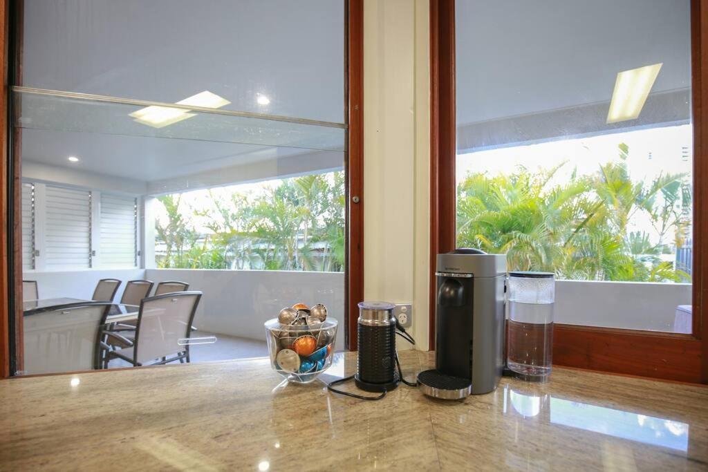 The Palm In Heart Of Surfers Paradise