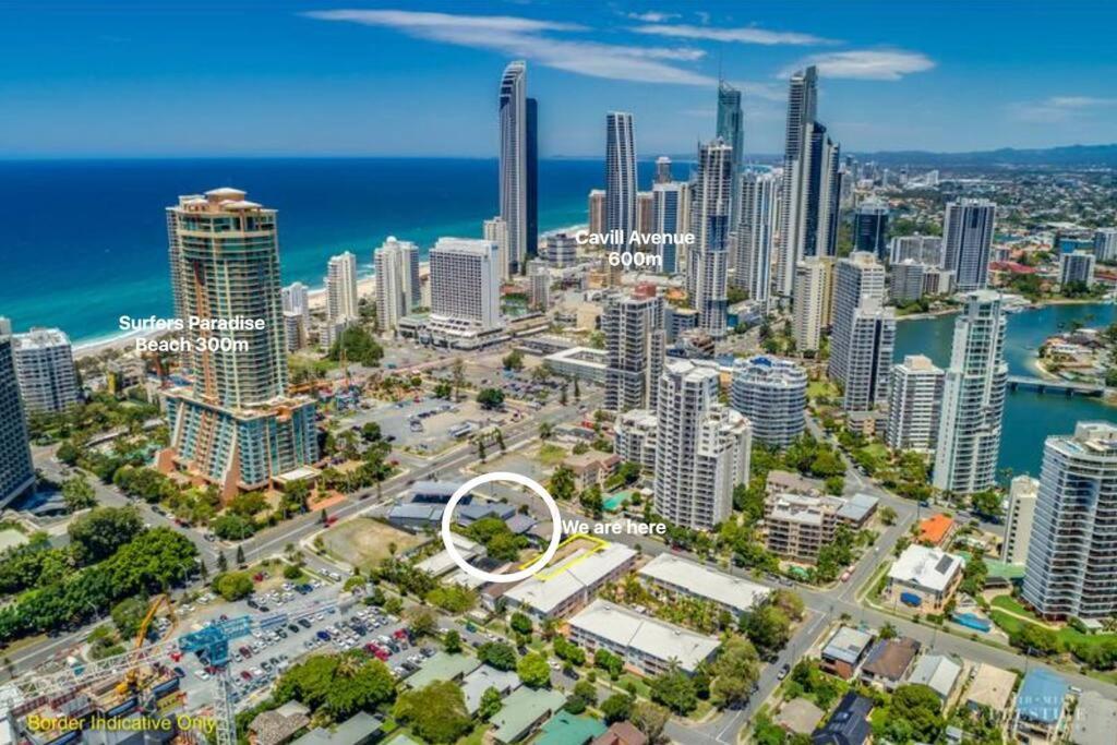 The Palm In Heart Of Surfers Paradise * Gold Coast