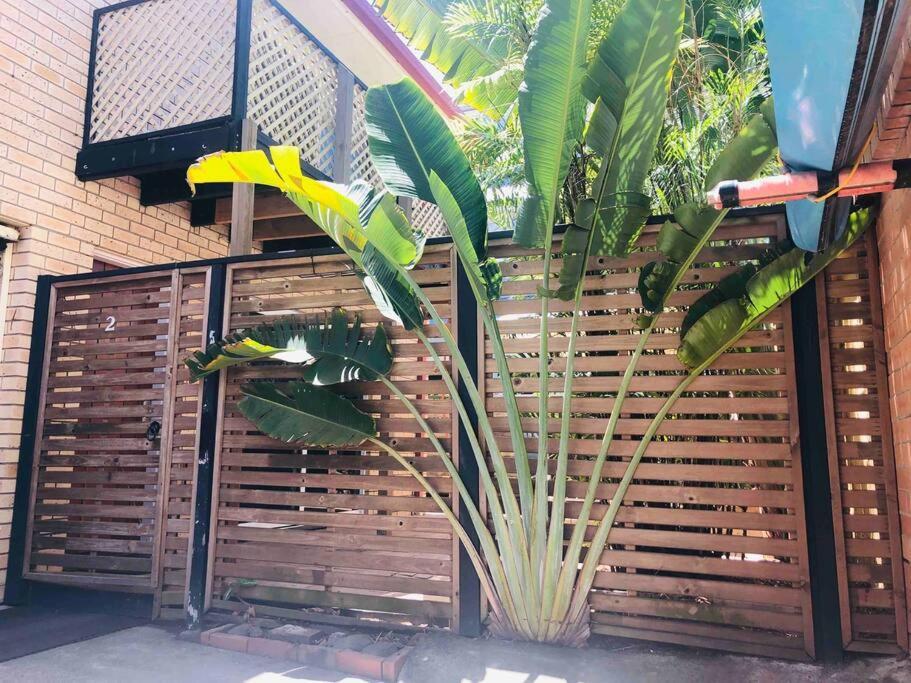 Apartment Life - 3 Bedroom Duplex, 80 Steps To Mermaid
