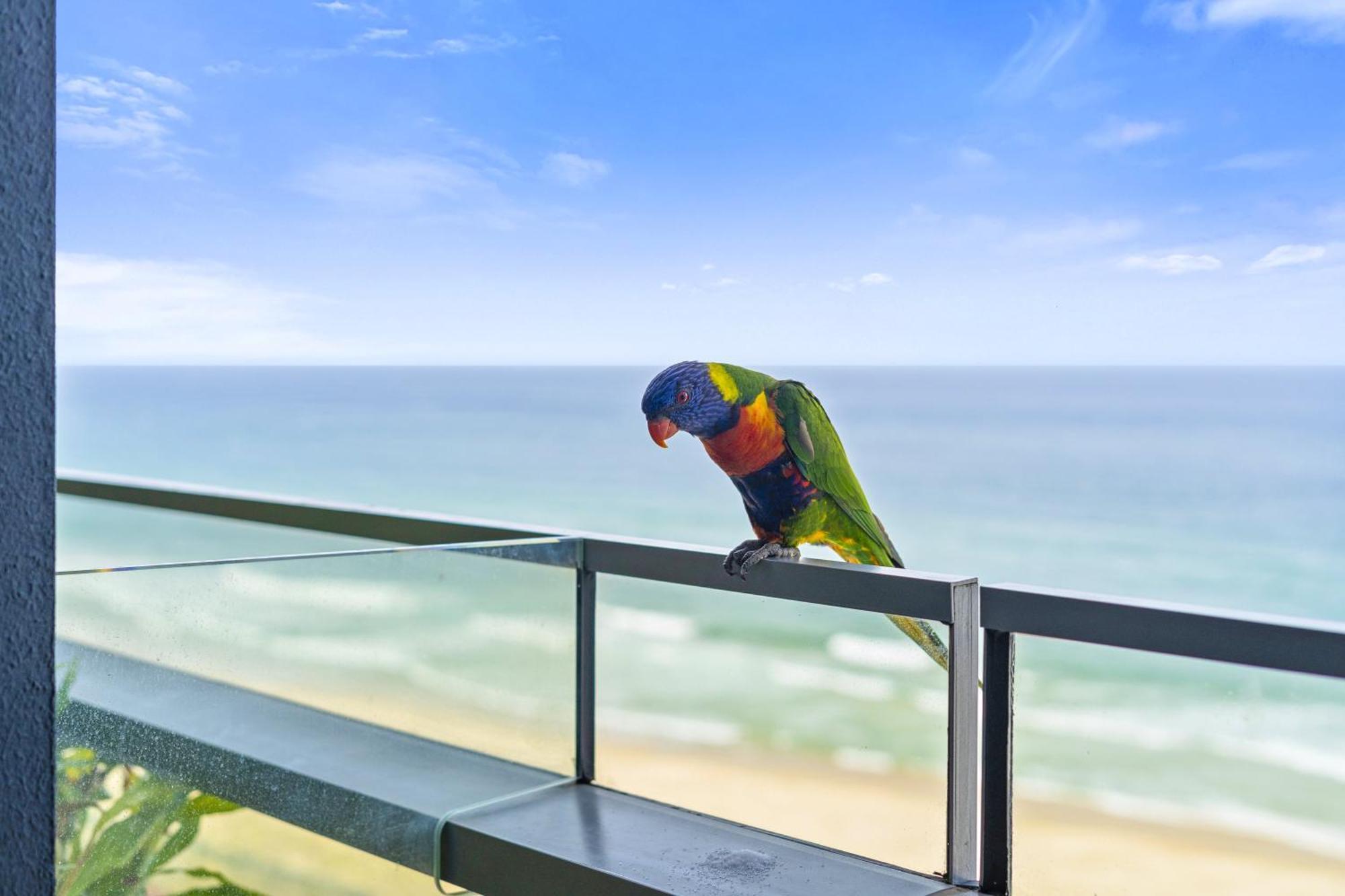 Luxury Units At The Jewel Residences - Q * Gold Coast