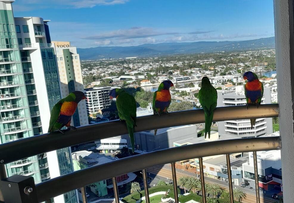 Surfers Paradise Absolute Beachfront With Views, High Level 1br - Ideal For Couples Or 2 Ppl Travelling Together Apartamento Gold Coast