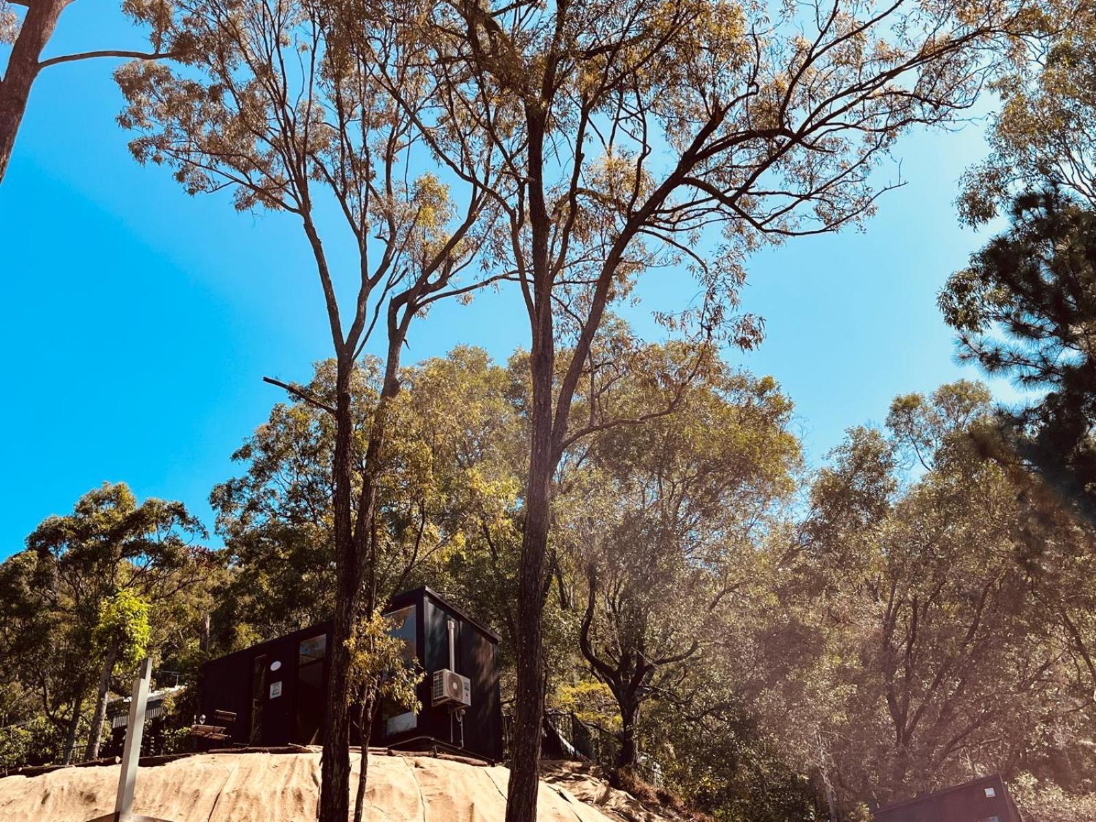 Urban Wilderness 1 Tiny Away Holiday home Gold Coast
