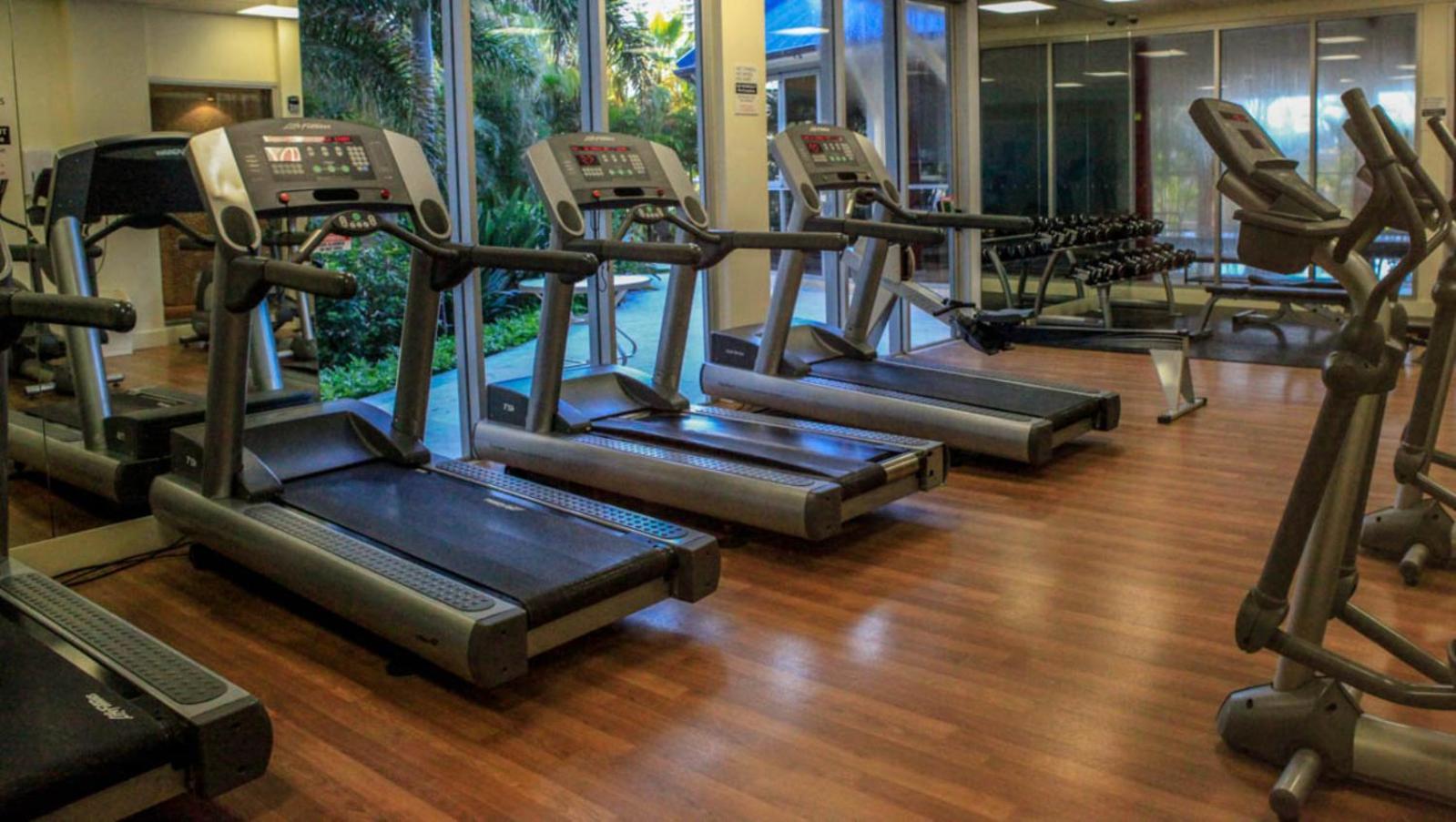 Apartment Tropical Luxurious Retreat Gold Coast