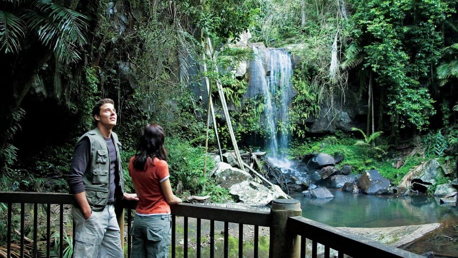 Apartment Serene Mountain Retreat Tamborine Mountain *