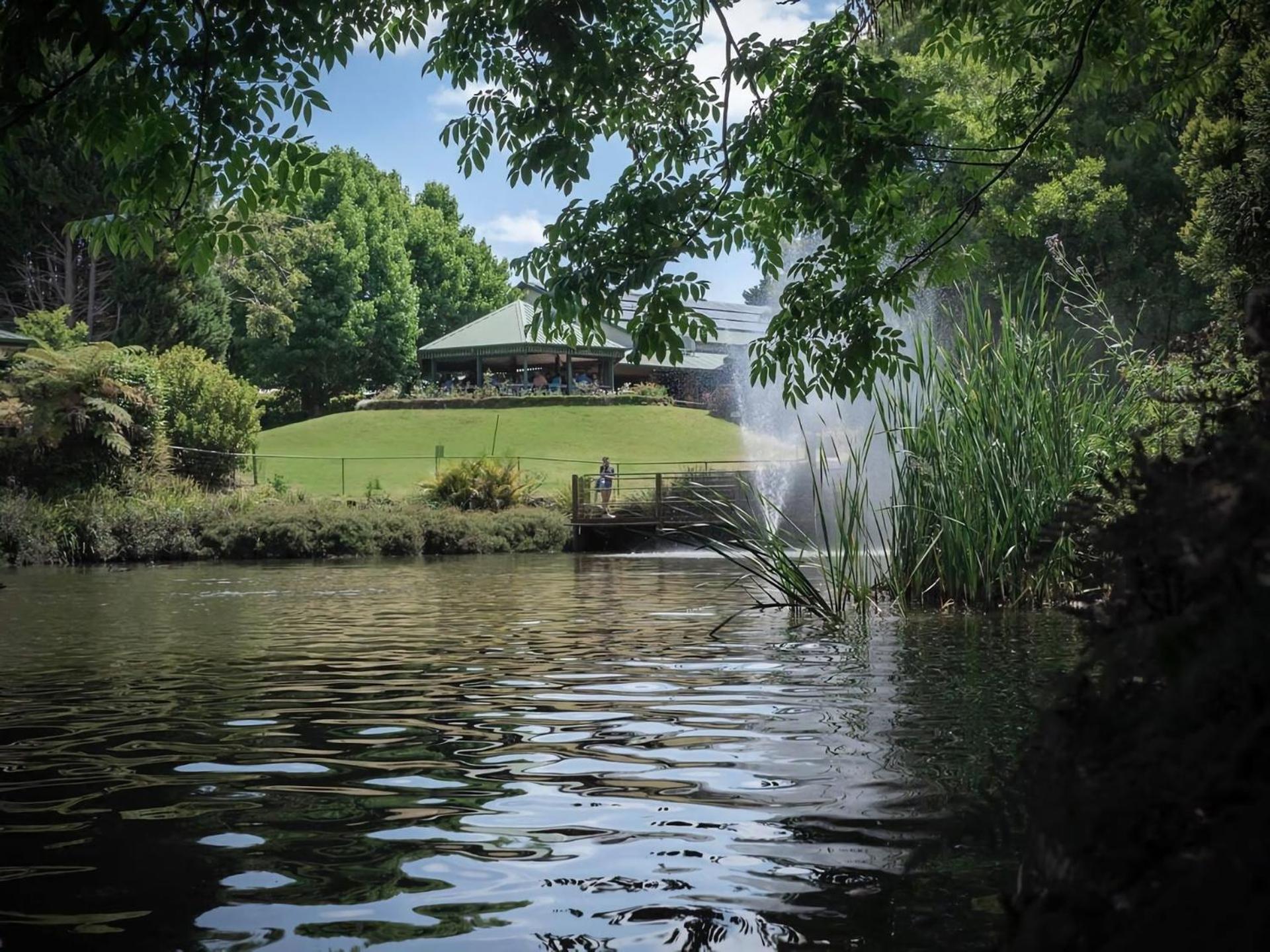 Apartment Serene Mountain Retreat Tamborine Mountain *