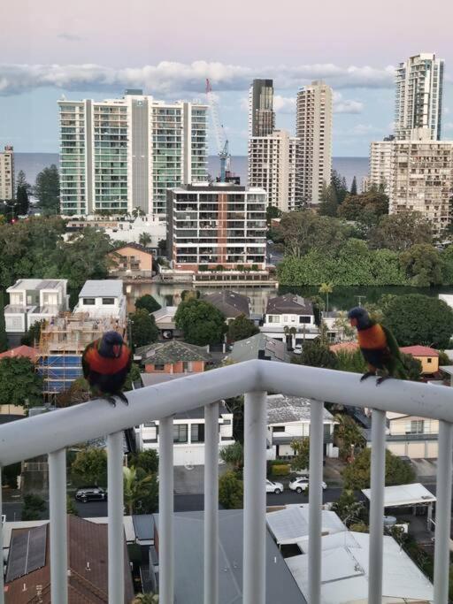 Surfers Paradise Penthouse & Rooftop Plunge Pool Holiday home *