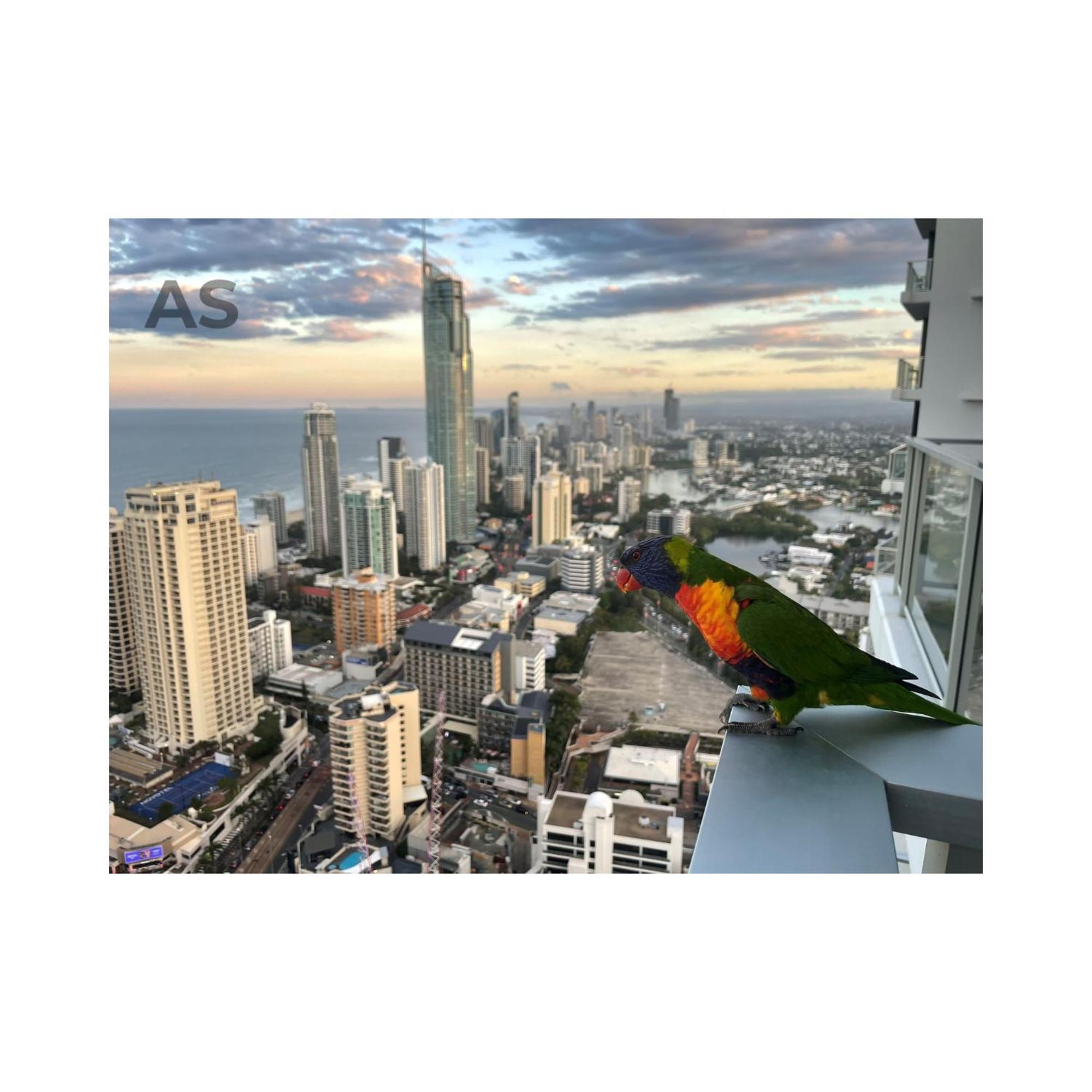 Apartment Circle On Cavill - Private -