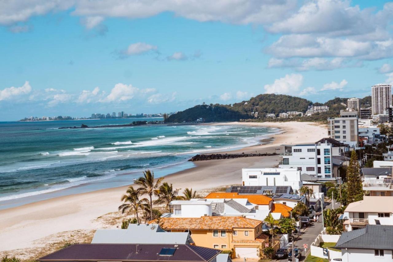 Palm Perfection. Gold Coast