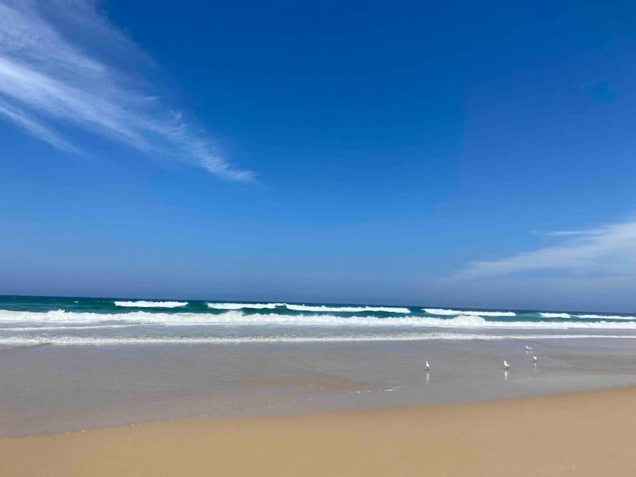 Stylish 1br In Surfers, Pool, Gym Apartment *