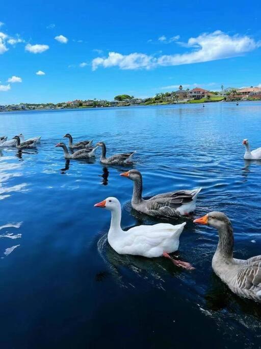 Immaculate Waterfront Residence-masterpiece Holiday home