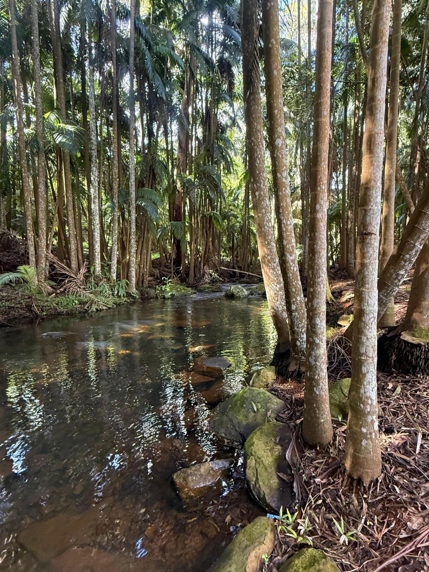 Mt Tamborine Stonehaven Manor 4* Gold Coast