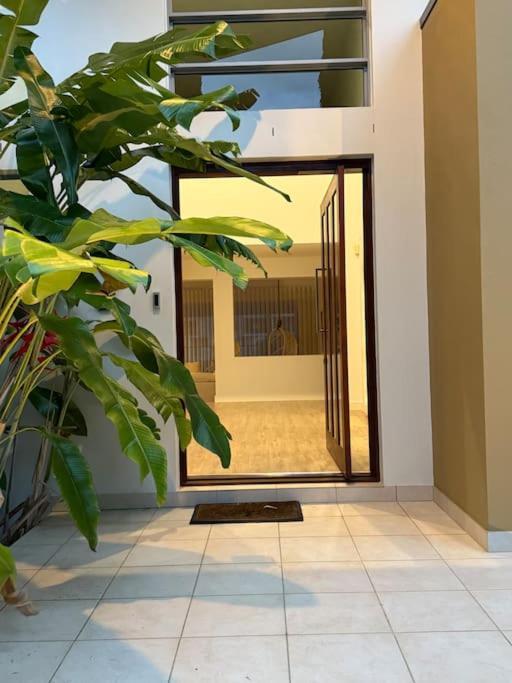 Apartment Perfect Summer House Gold Coast