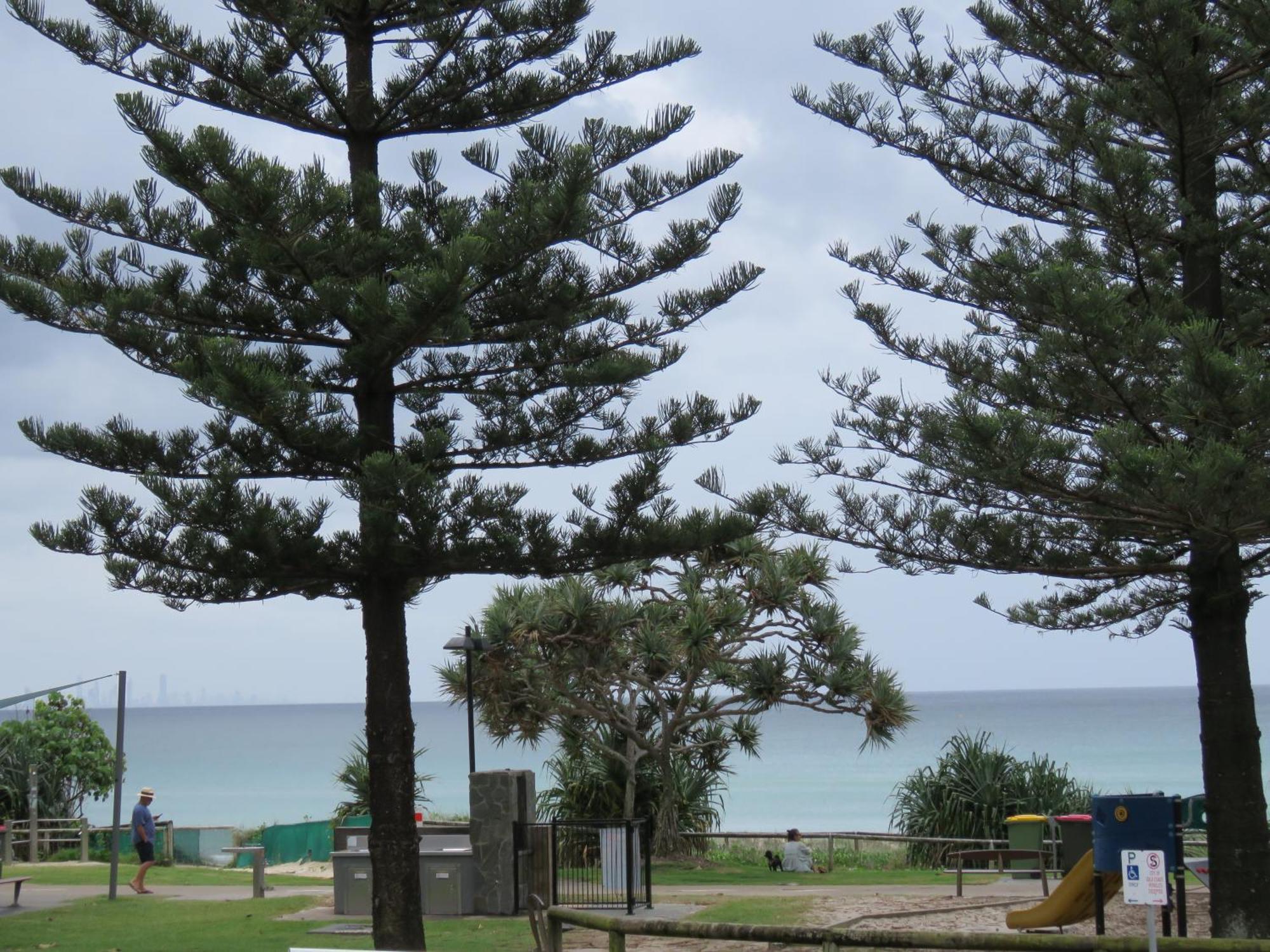 Beachfront Escape In Coolangatta *