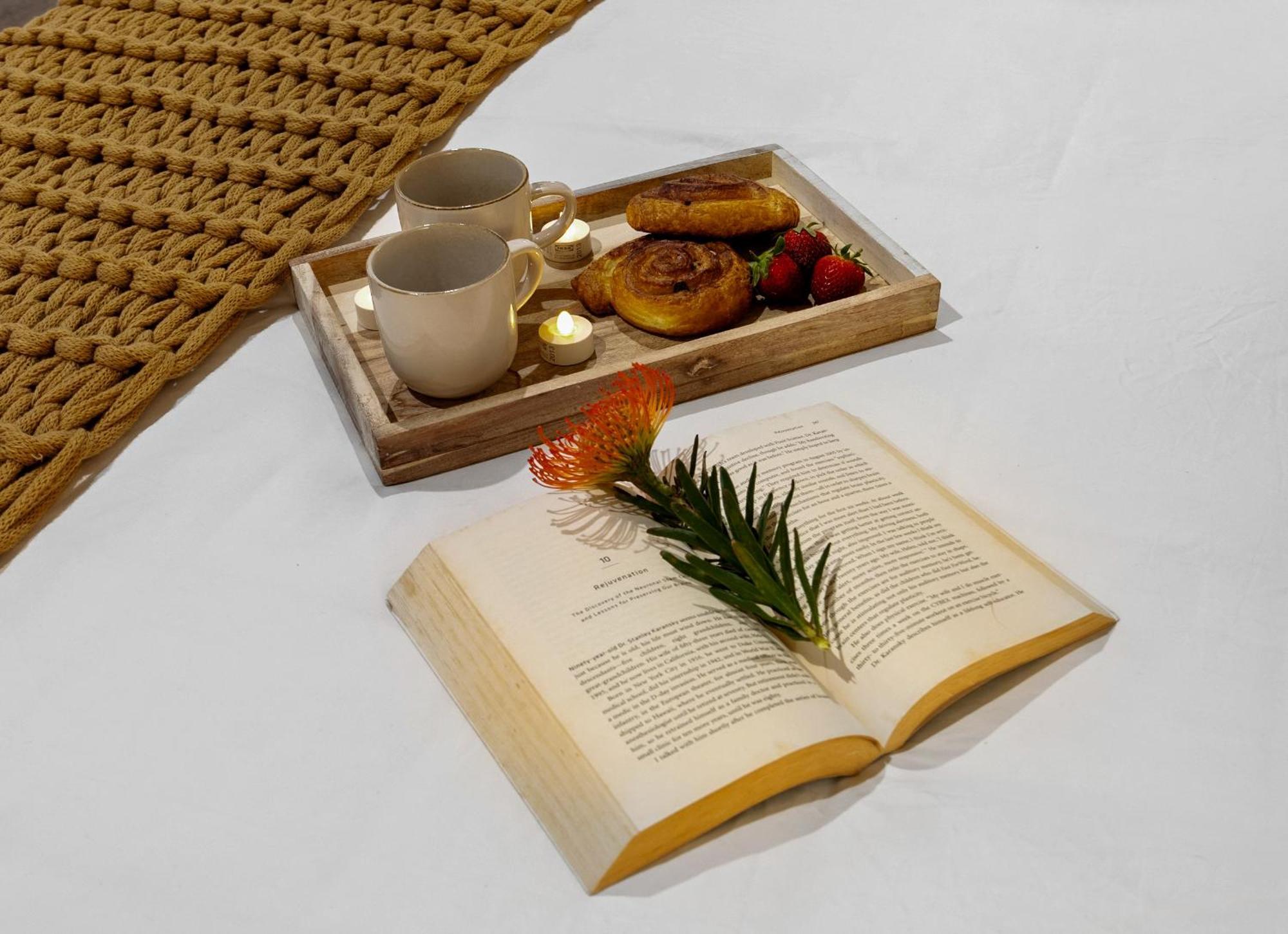 Forestland Hinterland Hideaway Gold Coast