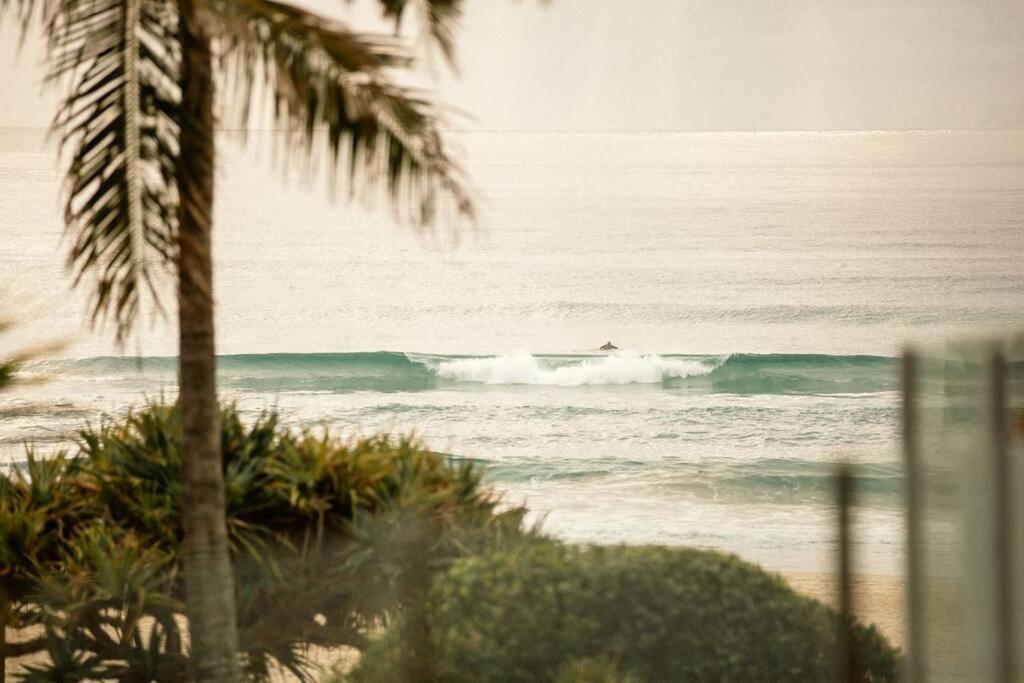 Waves 203 On Currumbin