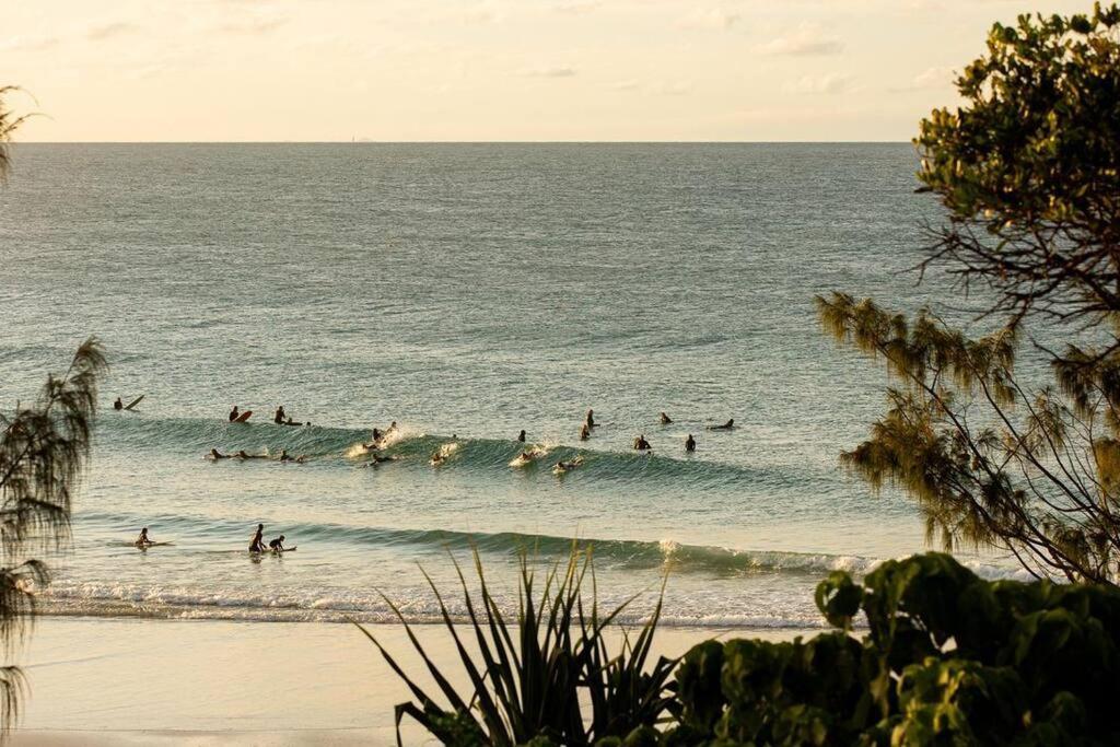 The Drifter Surf