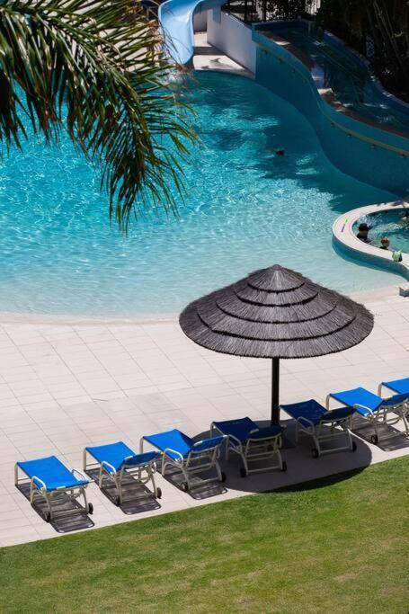 Ocean Breeze At Palm Apartment