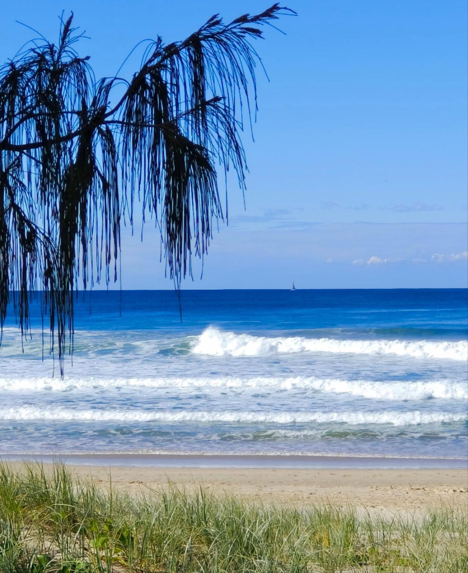 Luxury Escape! Amazing Ocean View Location Get To Everything Apartment *