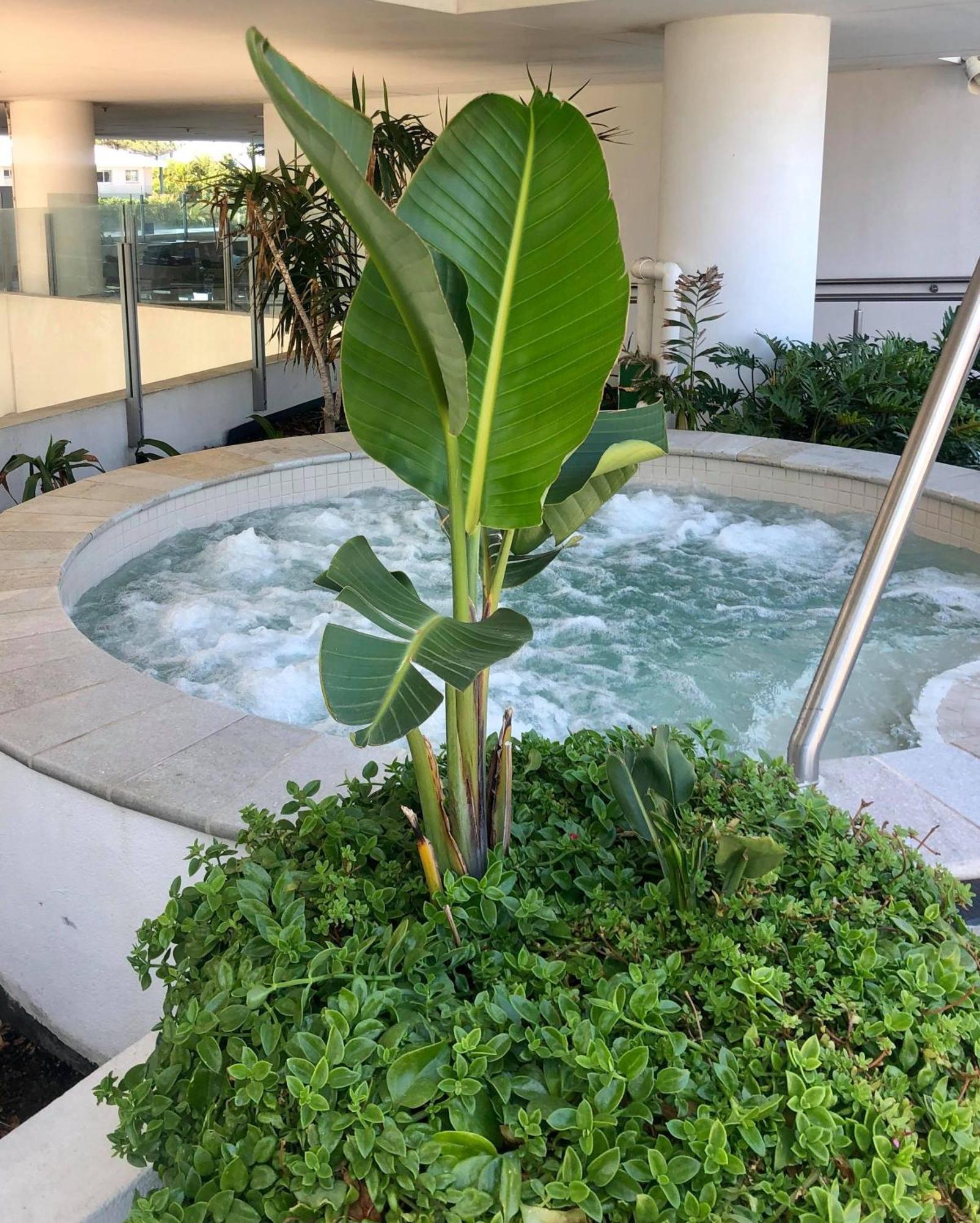 Ocean View Paradise Apartment Gold Coast