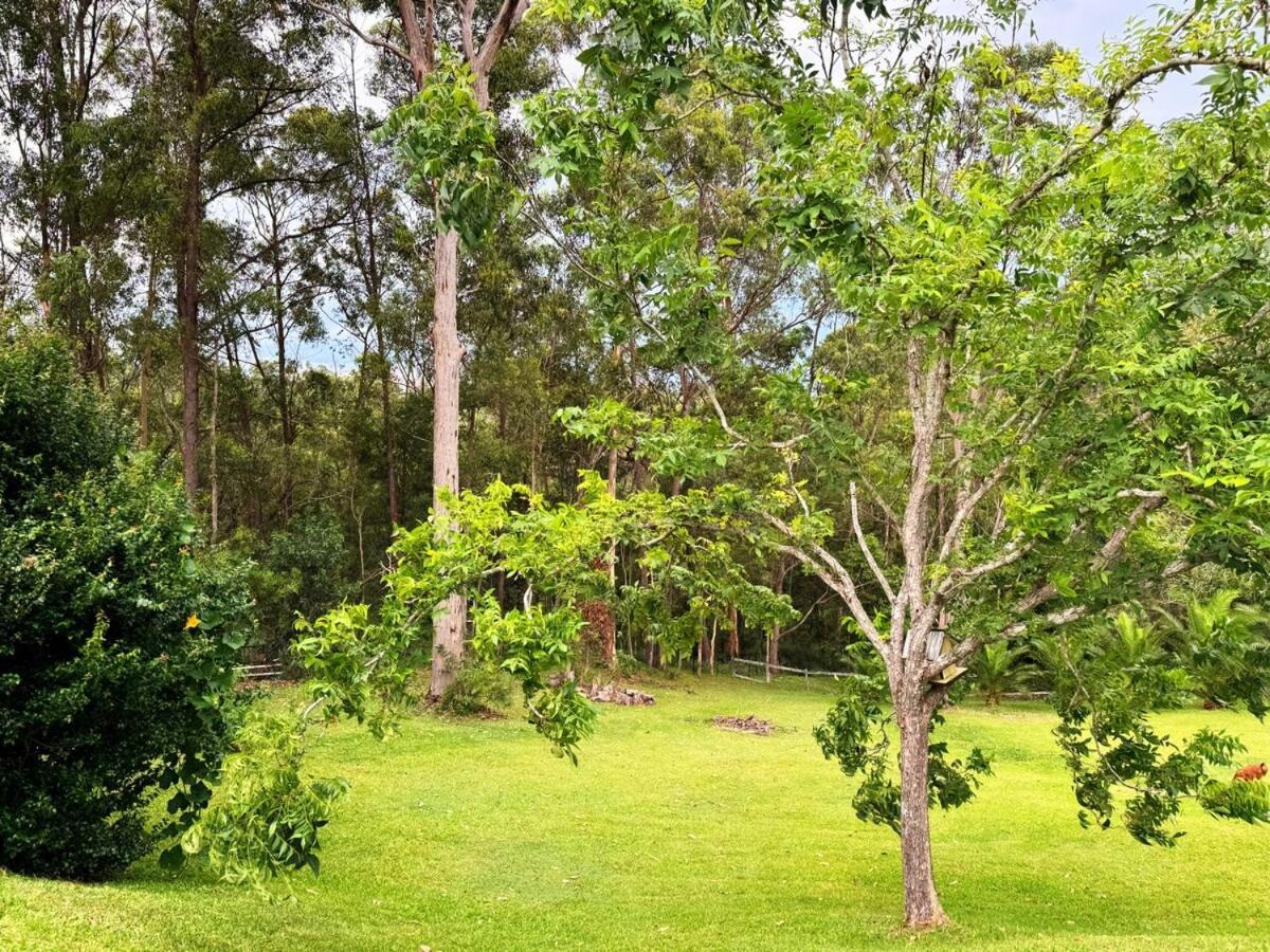 2 Bedroom Granny Flat In Nerang With Shared Pool * Gold Coast