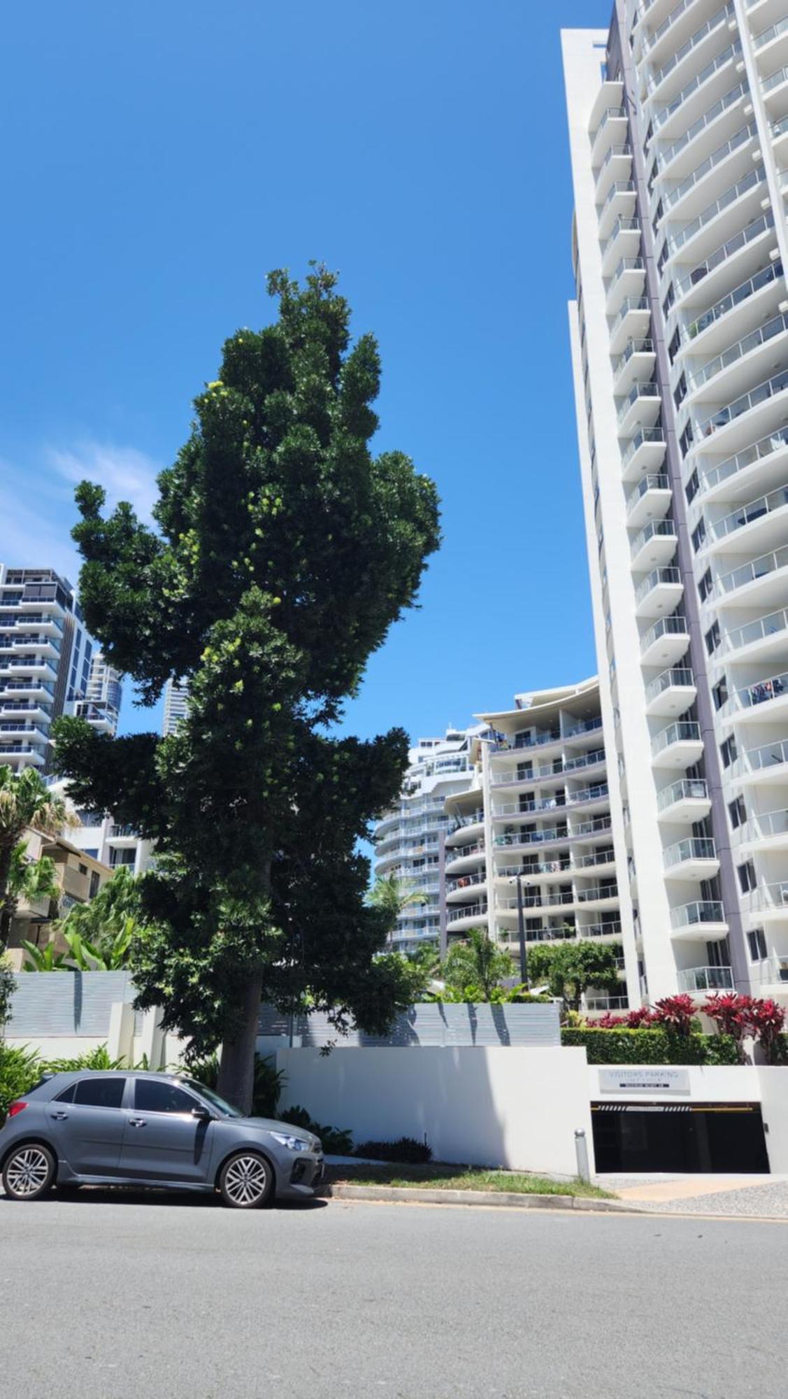Aparthotel 255 Sqm 3 Bedroom River Ocean View Surfers Paradise Gold Coast