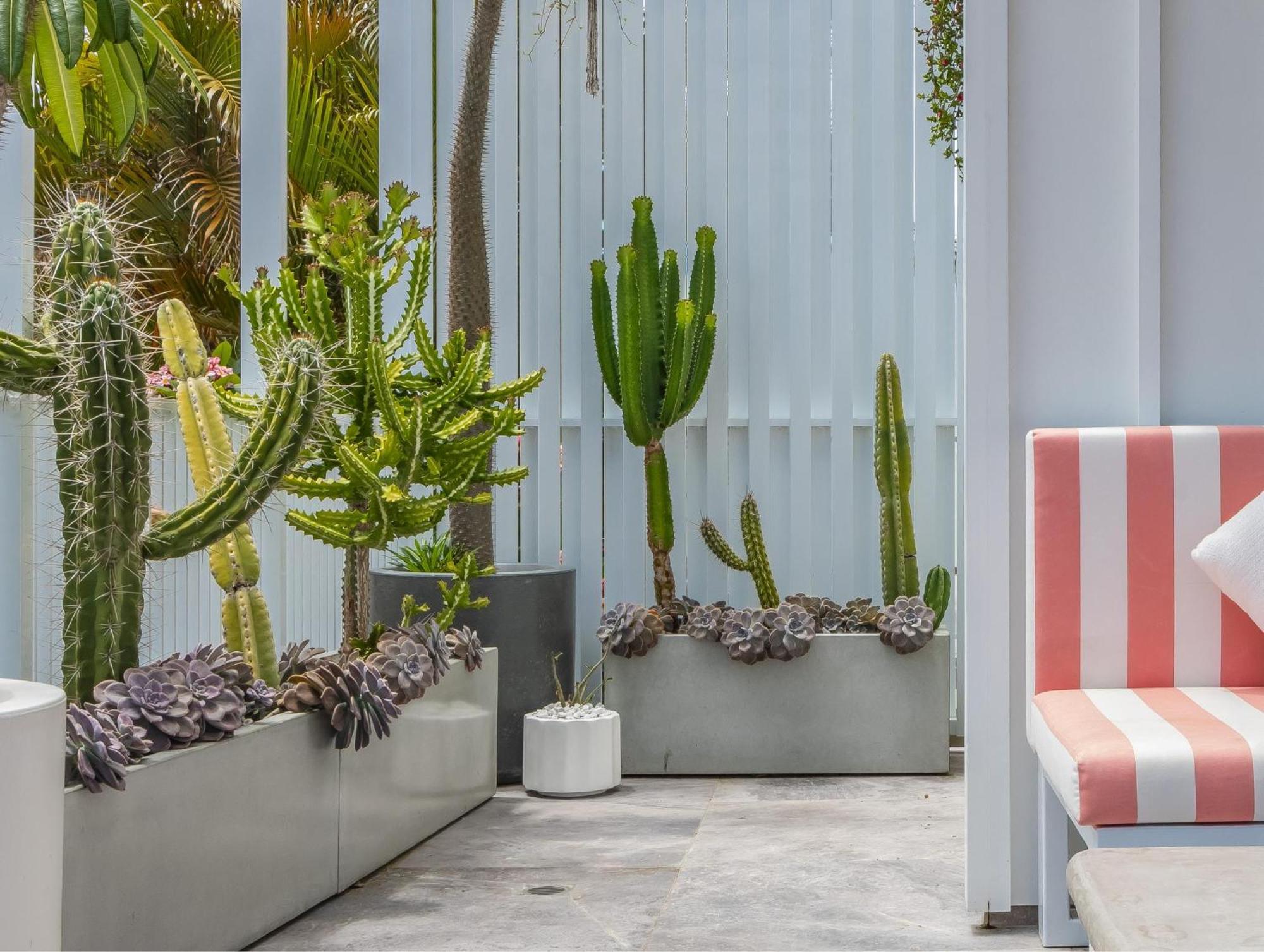 Villa Palm Paradise: Luxury Escape By The