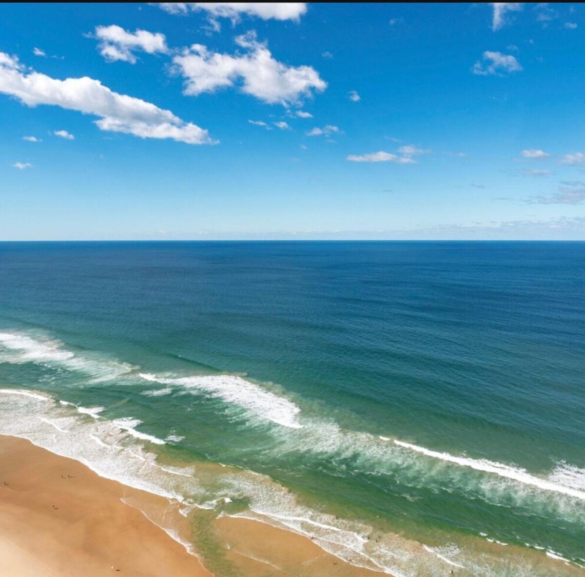 Sky-high With Wide Ocean Views - Pet Friendly *