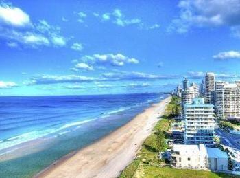 Hibiscus On The Gold Coast