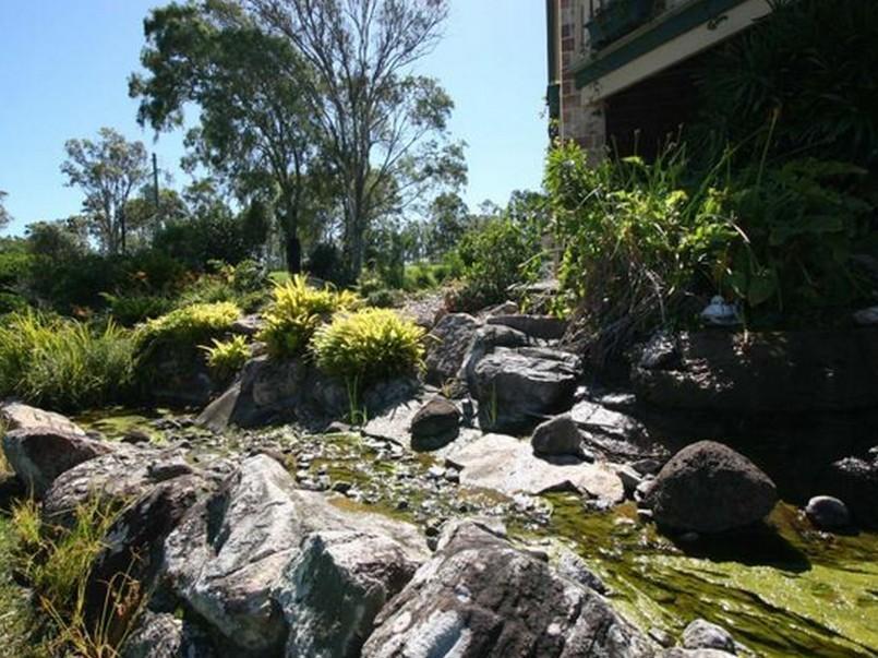 The Bearded Dragon Boutique Gold Coast