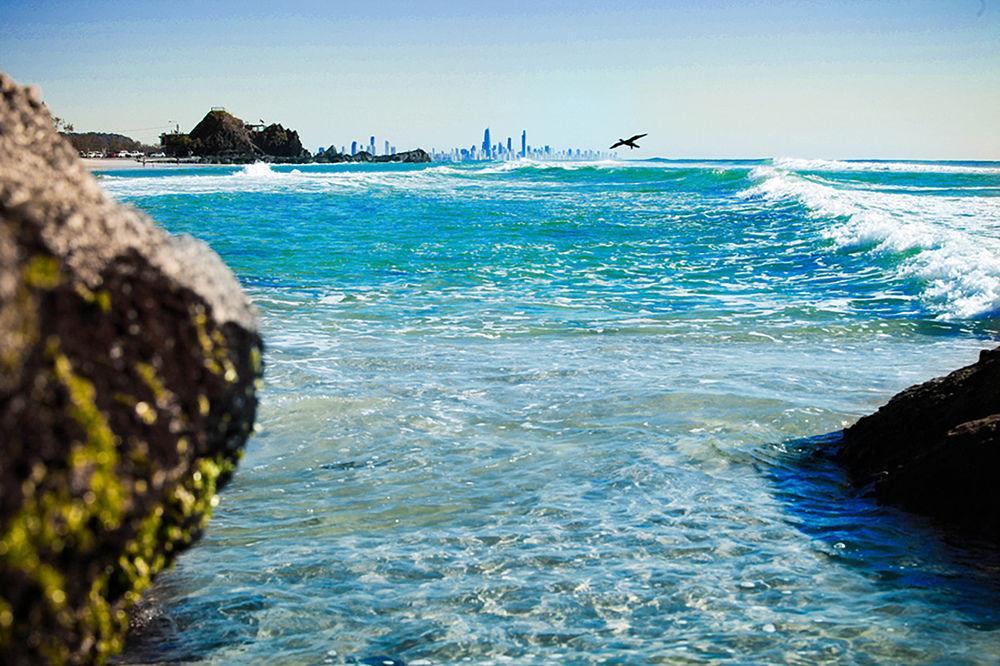 Sandcastles On Currumbin Beachfront,