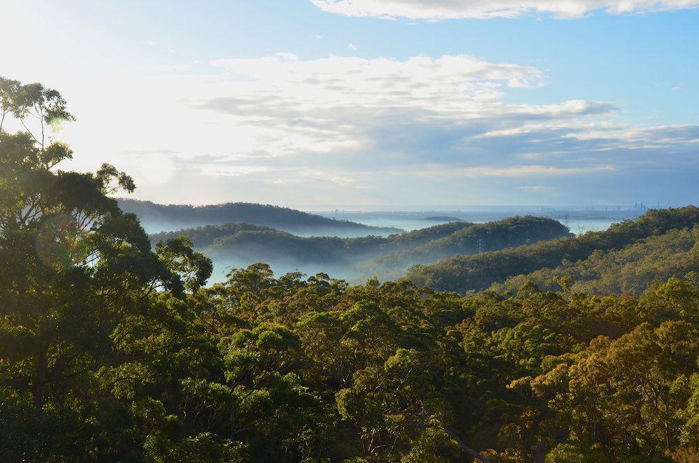Hilltop On Tamborine 4*