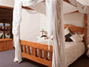 The Bearded Dragon Boutique 3*