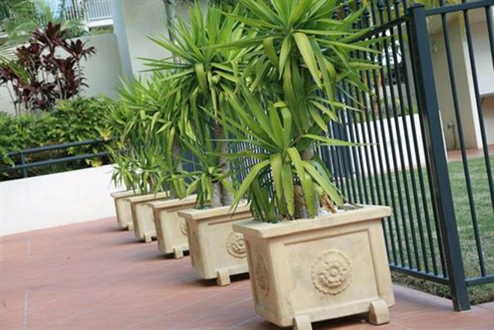 Aparthotel Palazzo Colonnades Gold Coast