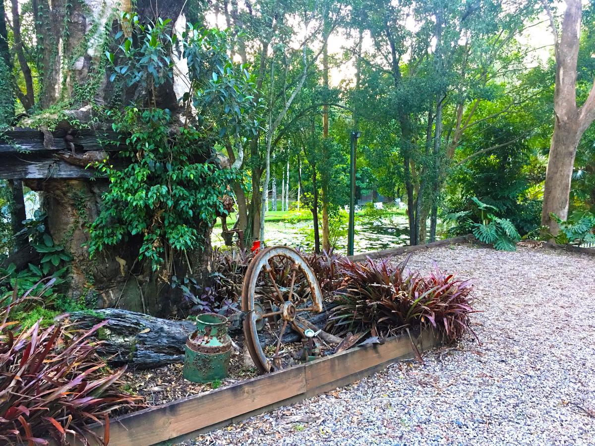 Ecostudio Fellini 4* Gold Coast