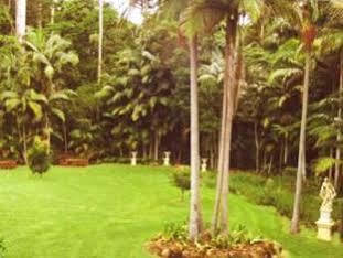 Mt Tamborine Stonehaven Manor Gold Coast