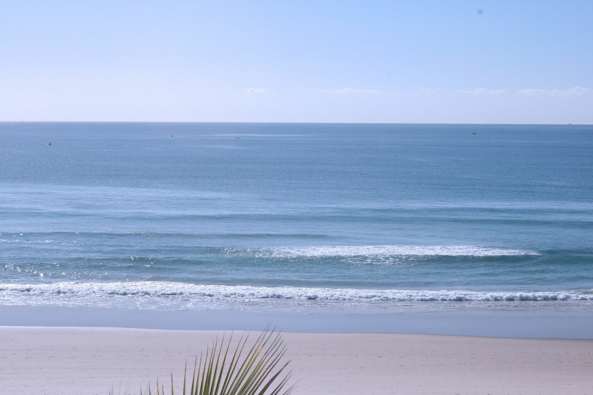 Surfers Horizons Gold Coast