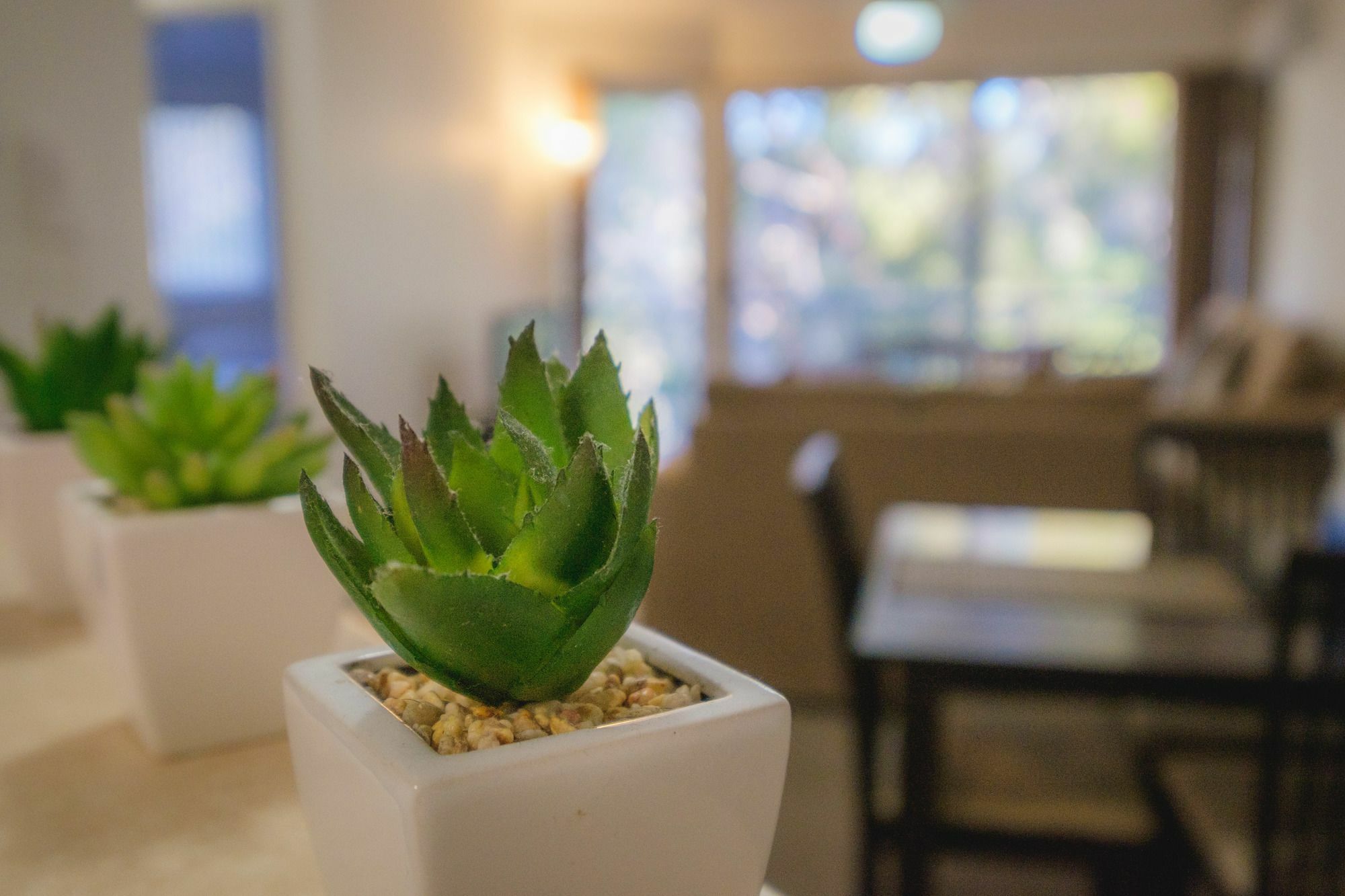 Sanctuary Gold Coast