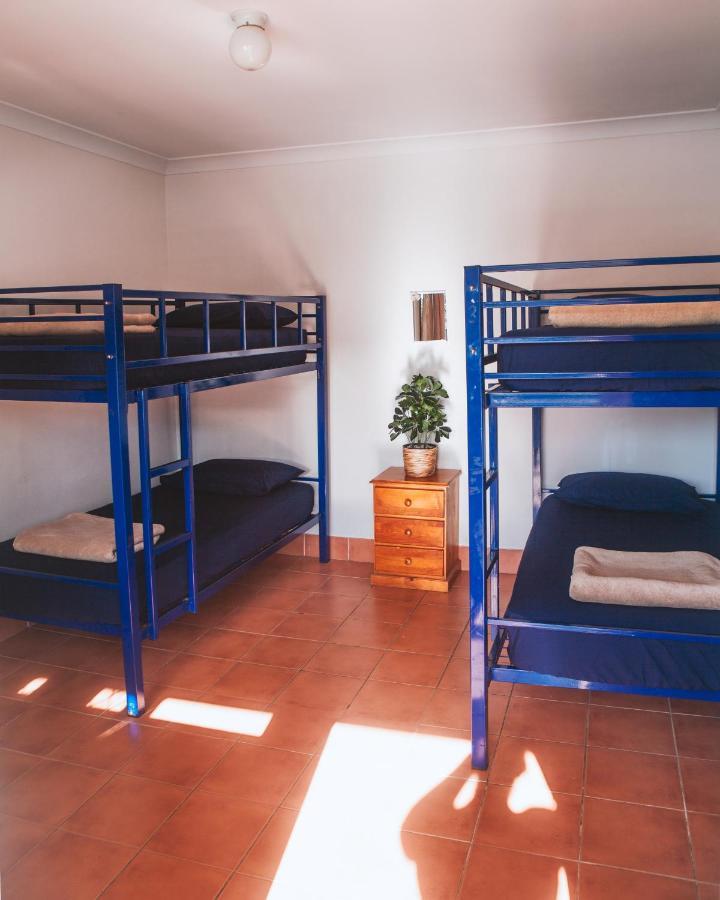 Budds In Surfers Backpackers Hostel Gold Coast