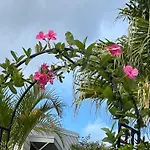 Theme Parks Amituofo Homestay