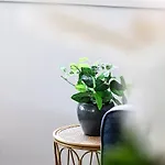 White Casa