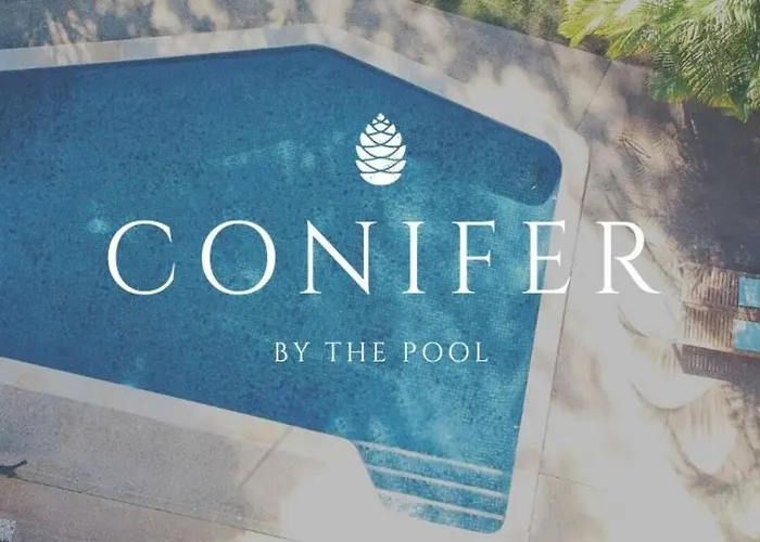 Conifer - Your Private Resort Pool Retreat
