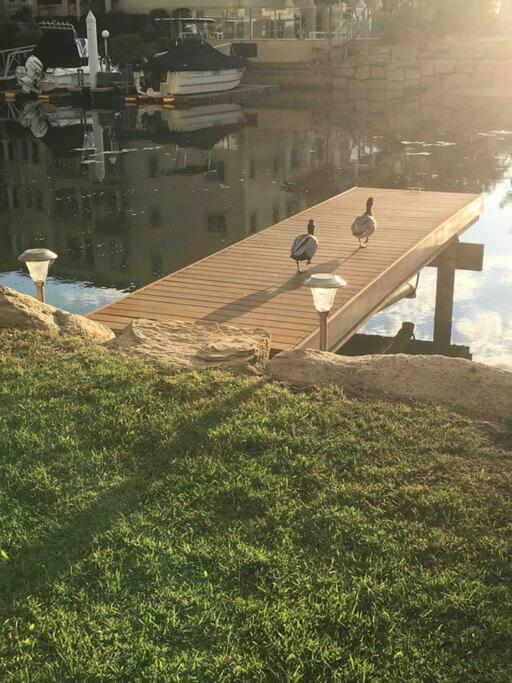 Broadwater Canal Frontage-runaway Bay-boat Ramp Apartment Gold Coast