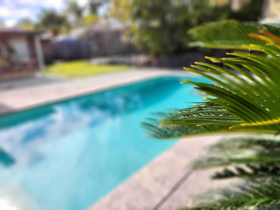 Oasis By The Pool, Thrilling Themeparks. Holiday home