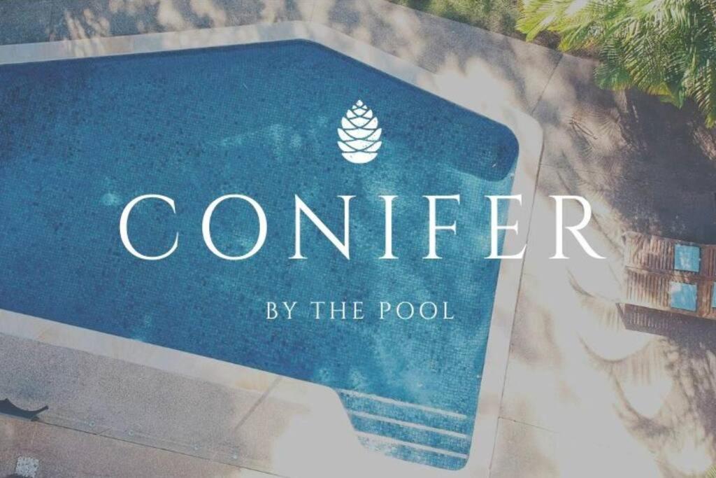 Apartment Conifer - Your Private Pool Retreat *